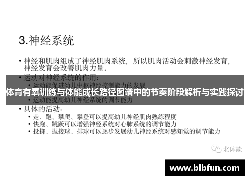 体育有氧训练与体能成长路径图谱中的节奏阶段解析与实践探讨